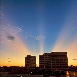 Meet your Posher, Sydney